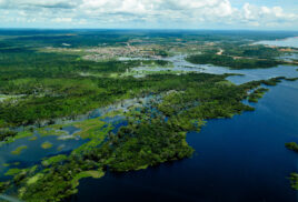 What’s happening with deforestation in the Amazon?