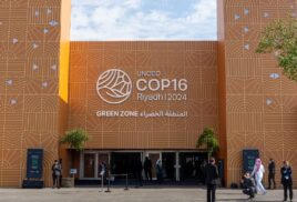 What happened at the UNCCD COP16