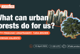 Why you need a forest in your city