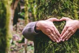 Does nature love us back?