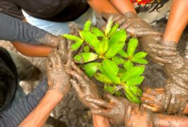 Taking Earth Day visions forward: Biodiversity Rescue Club in Nigeria inspires future generations