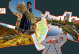 What wetlands can do for us